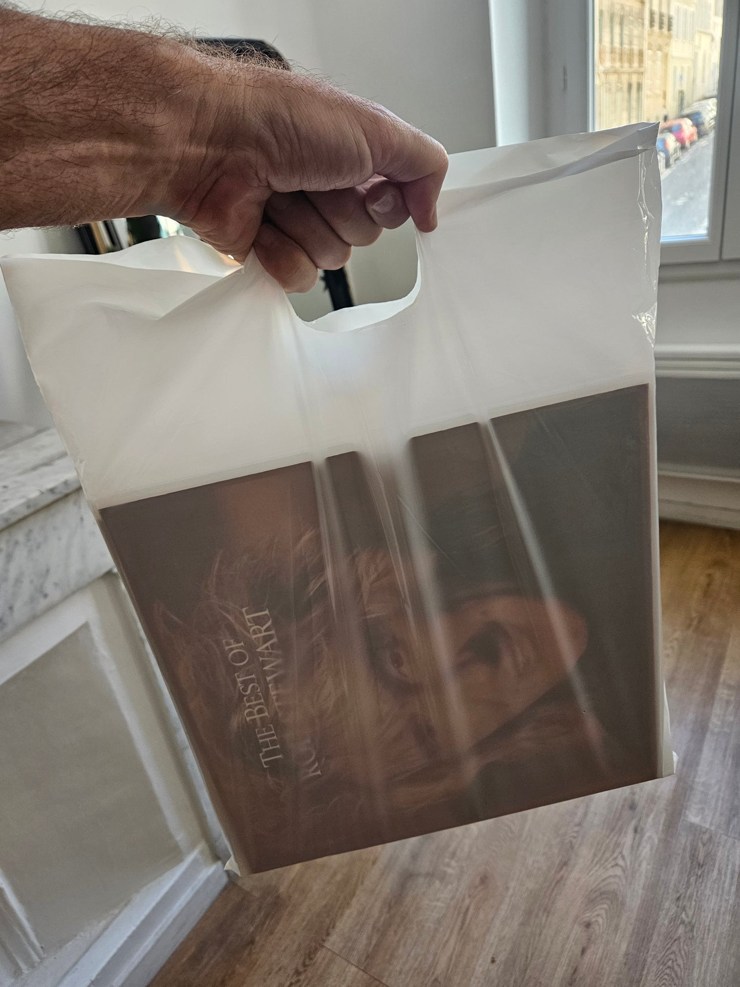 100 bolsas de PE blancas para vinilos