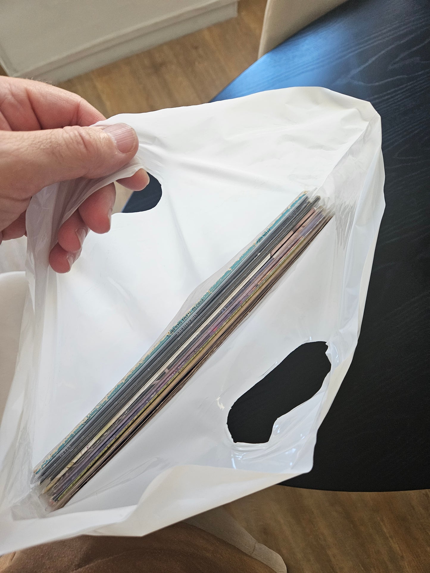 100 bolsas de PE blancas para vinilos